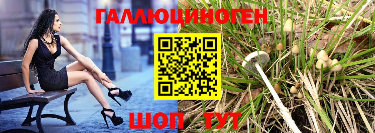 Галлюциногенные грибы прущие грибы  Галлюциногенные грибы Psilocybine cubensis  Вход с VPN  Домодедово 