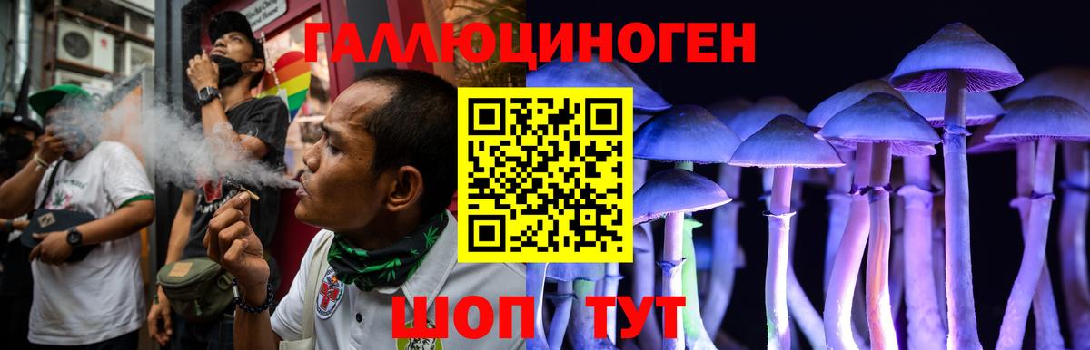 Галлюциногенные грибы Psilocybe Домодедово